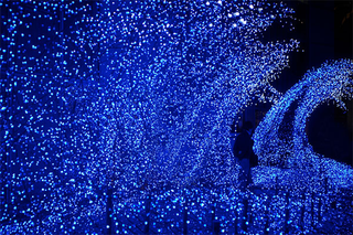 Illustration for article titled Tokyo Xmas Light Shows Overload Senses, Power Grid